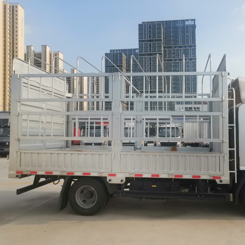 FOTON Aumark E with side