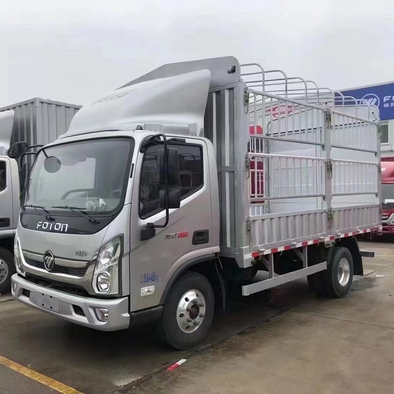 FOTON Aumark E  with side