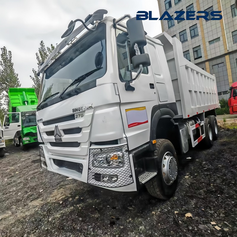 Cheaper Price 10 Wheel HOWO 375 Dump Truck For Fruit Transportation In Benin