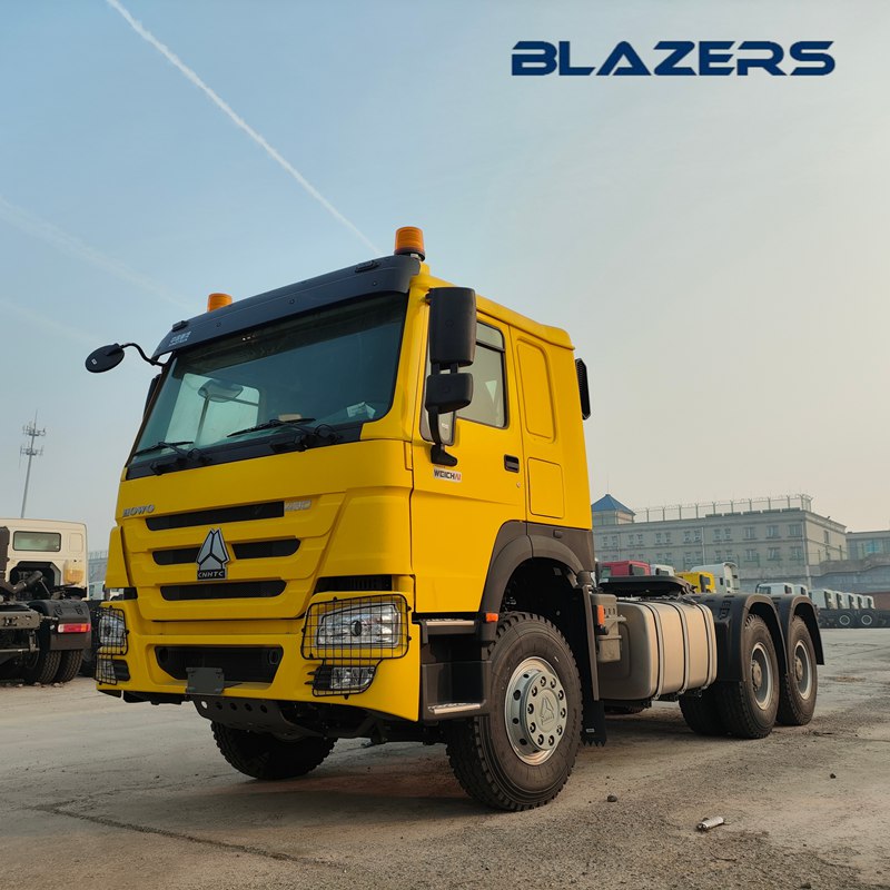 10 Tires SINOTRUK HOWO 430HP Horse