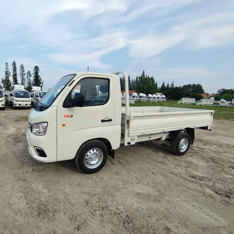 Single Row Cabin 3tons FOTON Xiangling TM3 Mini Truck For Zambia