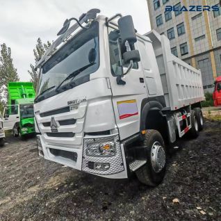 Cheaper Price 10 Wheel HOWO 375 Dump Truck For Fruit Transportation In Benin