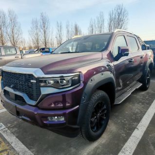 Elegant Metallic 4x4 Foton V9 48V Lightning Purple Pickup Truck for African Logistics